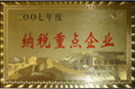 納稅重點(diǎn)企業(yè)